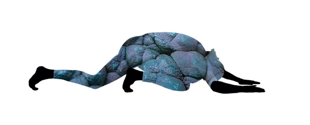 SRuddock MGanzinotti